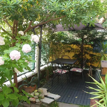 Perla البندقية-ليدو